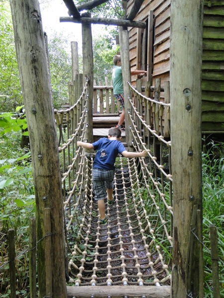 Jungle parcours over modderige slootjes in GaiaZoo