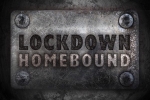 Afbeelding van E-scaperooms: Lockdown - Homebound