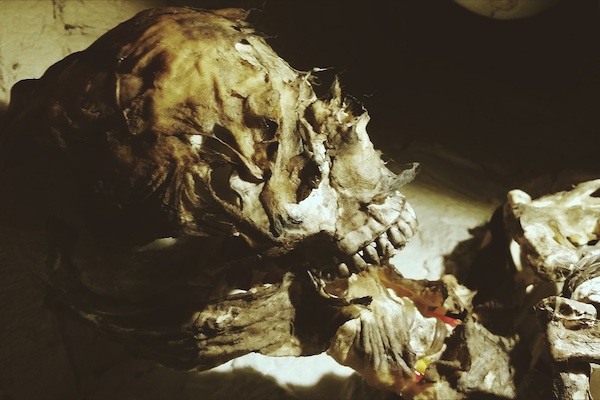 The Amsterdam Catacombs: Corpse