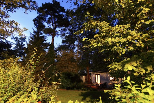 Roompot Bospark Schaapskooi: Wakker worden in het bos