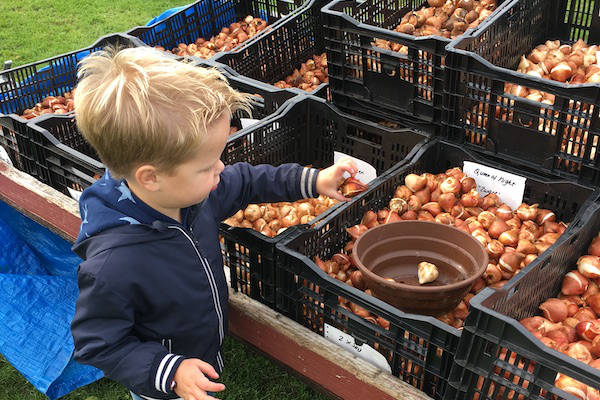 Tulpenpracht voor kinderen