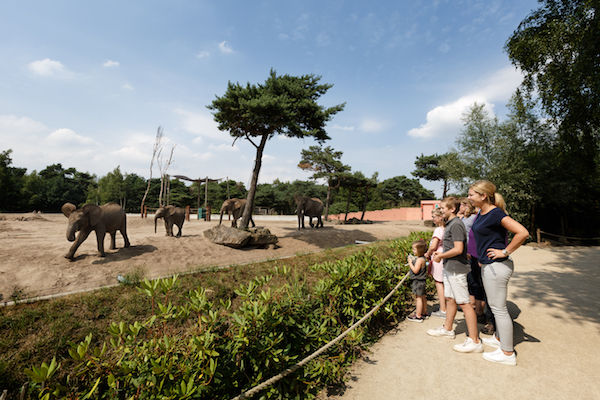 Ontmoet 1.500 dieren in hun natuurlijke omgeving