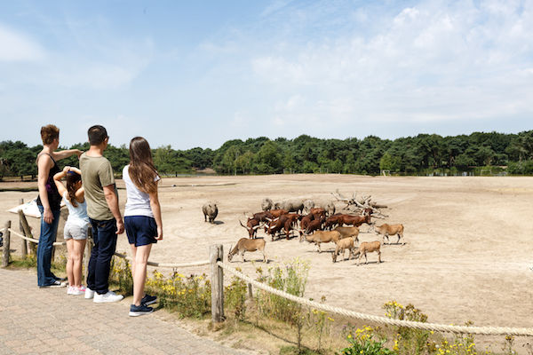 Safaripark Beekse Bergen: Ga op wandelsafari met het hele gezin