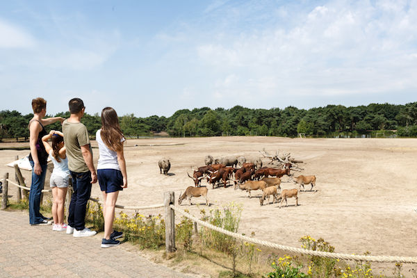 Ga op wandelsafari met het hele gezin