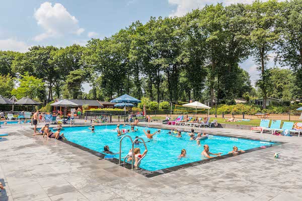 Landgoed de Scheleberg: Zwembad