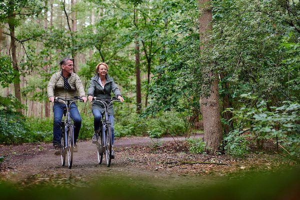 Fietsen door de bossen