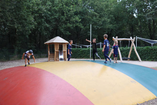 Kinderen spelen op het springkussen