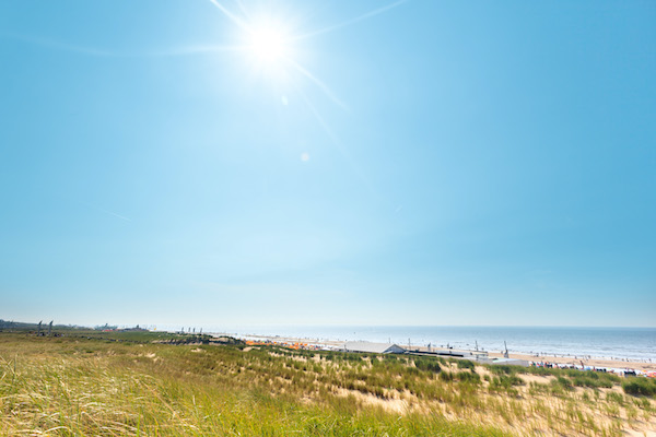 Noordwijkse duinen