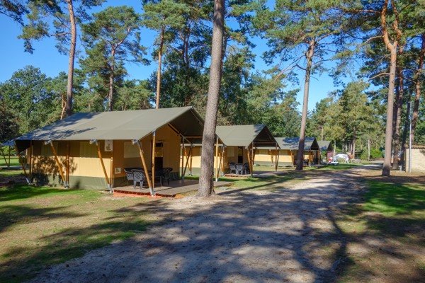 Safari tent huren