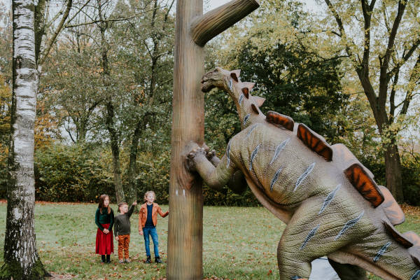 Vakantiepark Dierenbos: Achter de boom