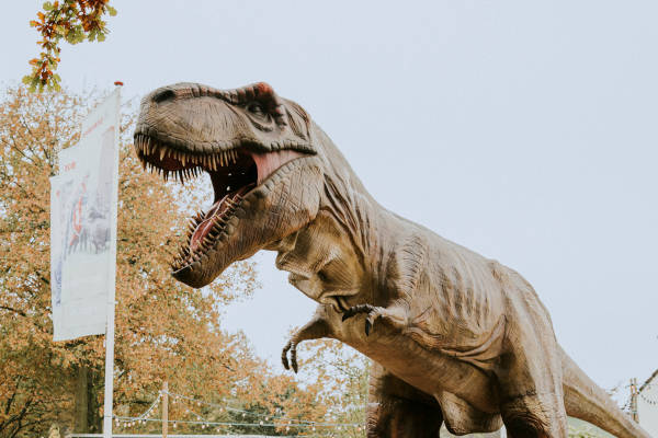 Vakantiepark Dierenbos: De T-Rex