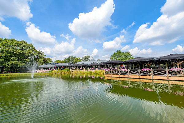 Terras aan het water