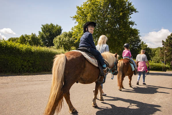 Pony rijden