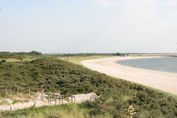 Molecaten Park Rondeweibos: Strand