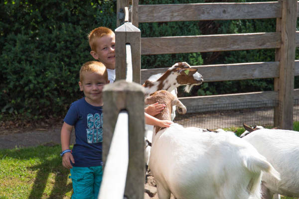 Kinderboerderij
