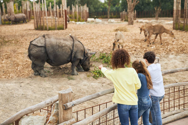 Kinderen kijken naar de neushoorn