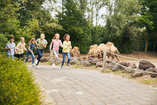 Kinderfeestje in de dierentuin