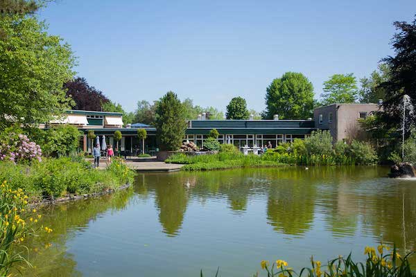 Molecaten Park Landgoed Ginkelduin: Vijver