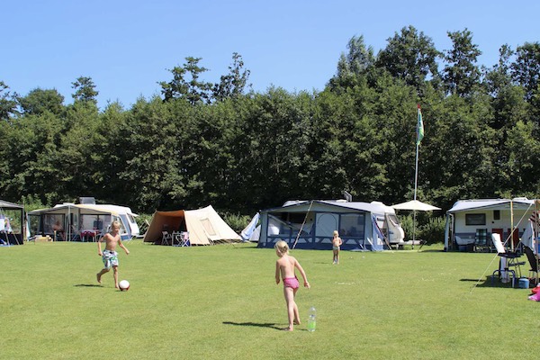 Molecaten Park Flevostrand: Kampeerveld