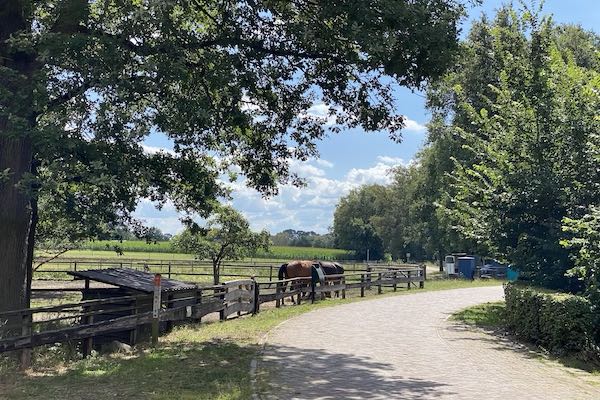 Wandel door de prachtige natuur