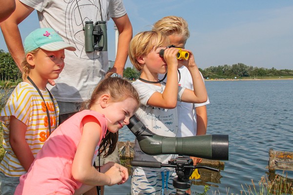 Kinderexcursie vogels kijken: Gezamenlijk vogels spotten