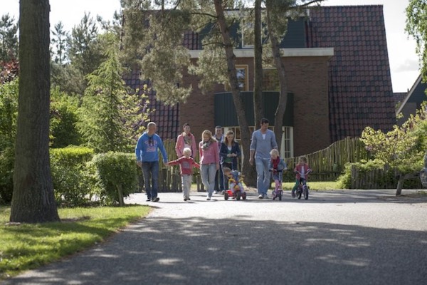 Wandel over het park en verken de omgeving