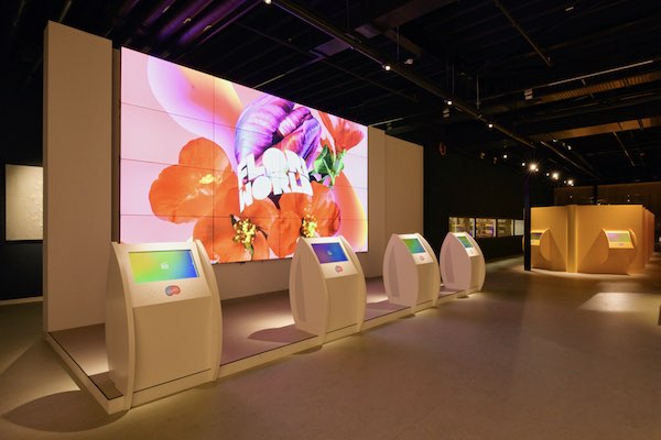 FloriWorld: Kom alles te weten over bloemen- en planten