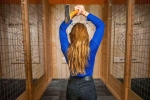Afbeelding van Real Axe Throwing Utrecht