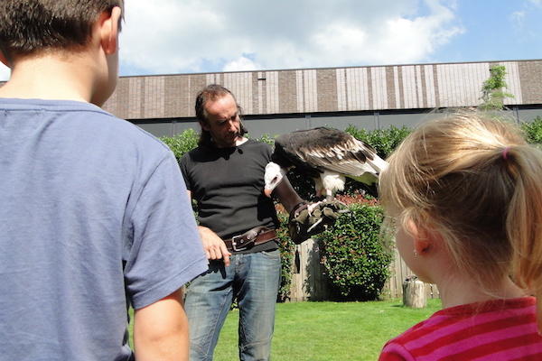 Kinderen kijken aandachtig naar Vogelshow bij Dierenpark de Oliemeulen