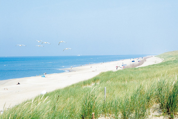 Fletcher Hotel Marijke: Strand