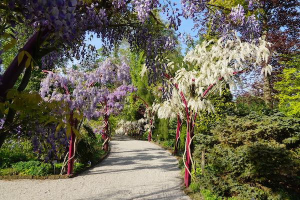 Trompenburg Tuinen & Arboretum in Rotterdam