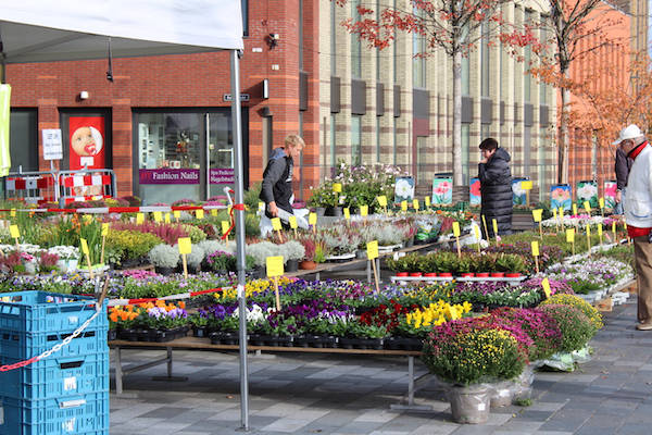 Markt bloemen