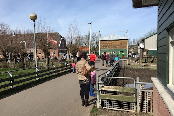 Ontmoet veel verschillende dieren