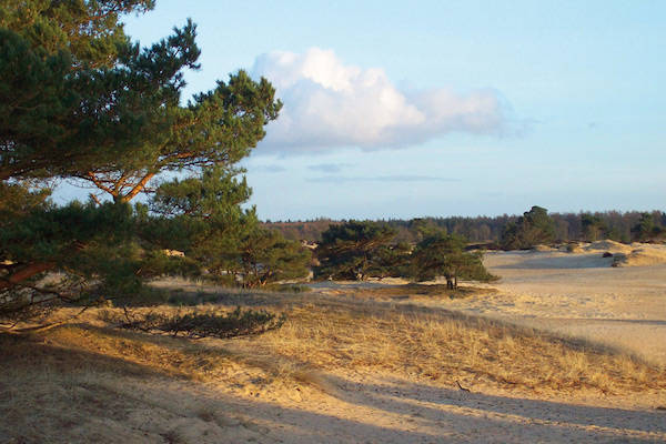 Natuurgebieden in de omgeving