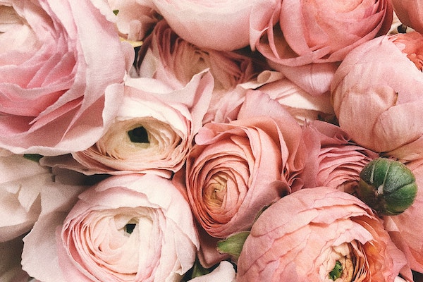 Zomer Heerlijckheid Buitenfair Kasteel Warmelo: Bloemen