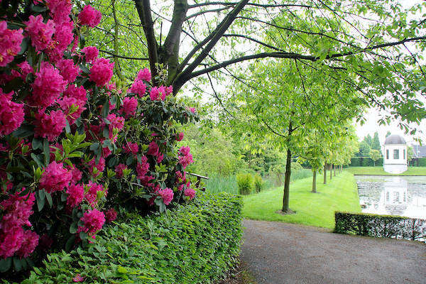 Tuin in bloei