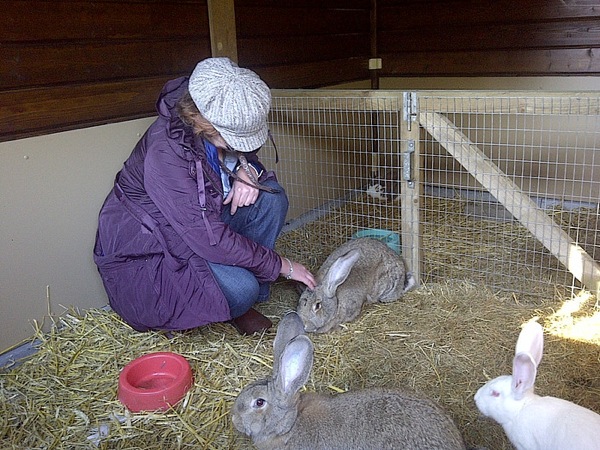 Konijnen knuffelen