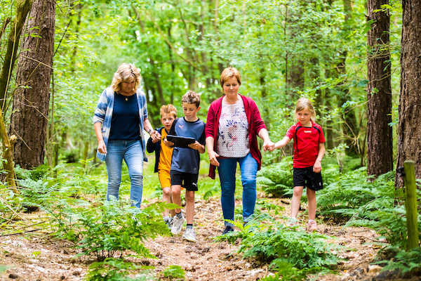 Speuren door het bos