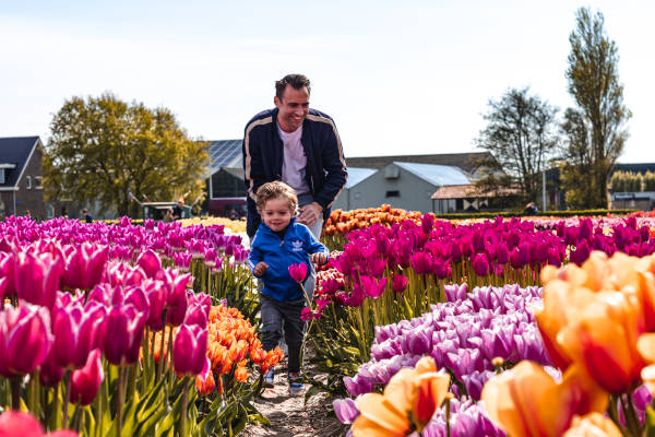 Rennen door de tulpen