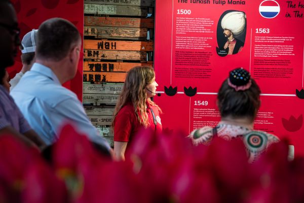 Tulip Experience Amsterdam: Gids geeft uitleg