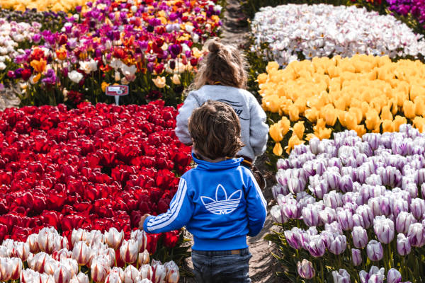 Tulip Experience Amsterdam: Tussen de bloemetjes