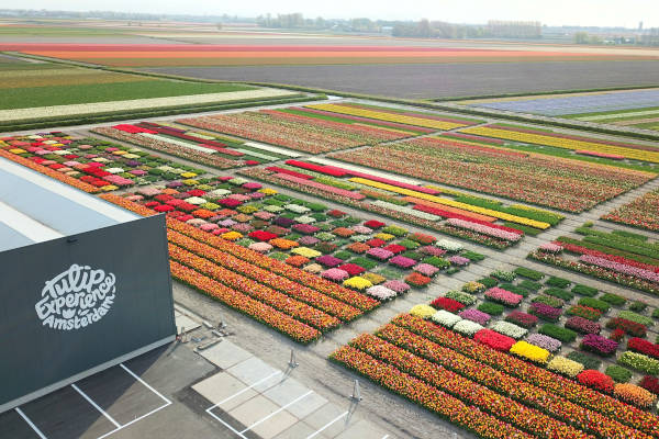 Tulip Experience vanuit de lucht