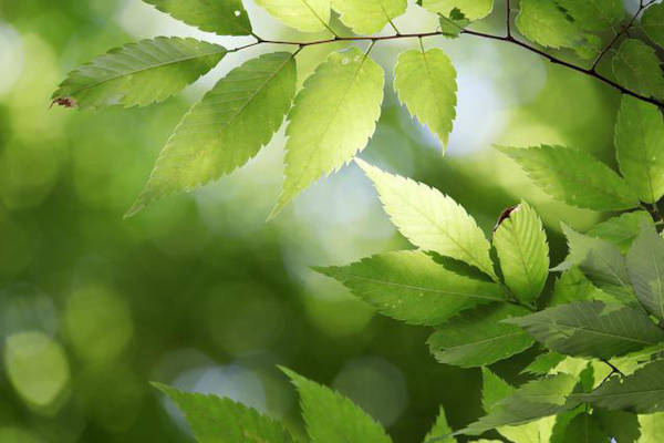 De Groene Belevenis in Leusden