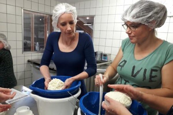 Kaas maken: Het deeg kneden