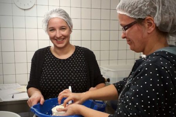 Kaas maken: Pret tijdens het kaas maken