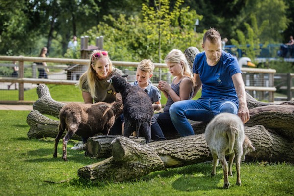 Binky Kinderparadijs Malkenschoten: Dierenweide