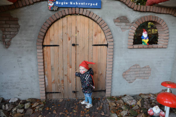 Kabouterbos ontdekken