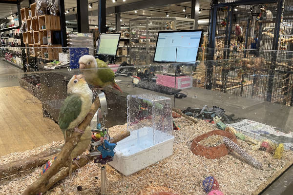 Hok met vogeltjes bij Zoo en Zo