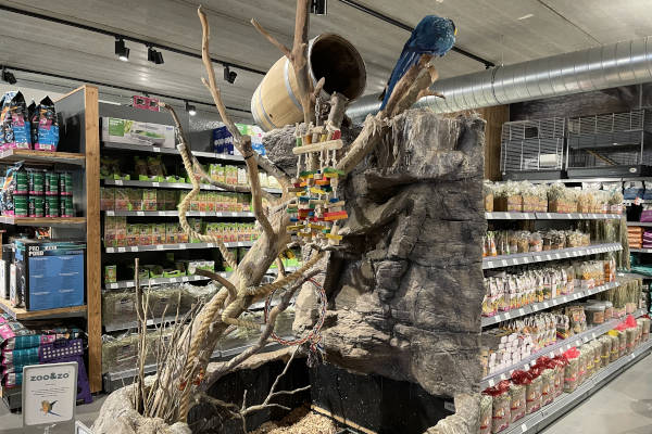 De papepaai bij Zoo en Zo