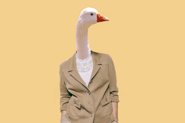 Een humanoïde gans